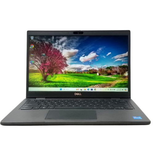 DELL LATITUDE 3420 non tactile